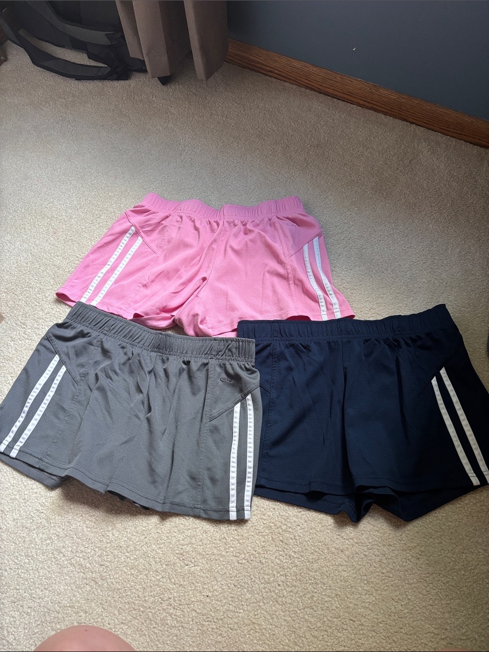 Champion Shorts